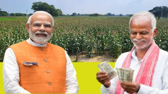 योजनायूपी के 18 लाख से अधिक किसानों के नाम पीएम किसान सम्मान निधि लिस्ट से क्यों हटे?