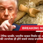 ट्रंप की नई टैरिफ धमकी: भारतीय चावल निर्यात पर असर? अमेरिकी उपभोक्ता ही होंगे सबसे ज्यादा प्रभावित!