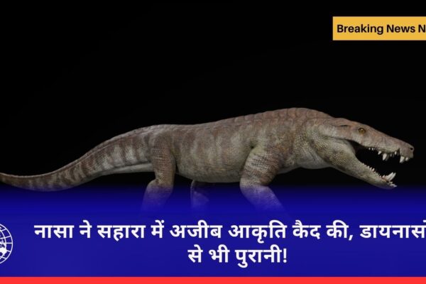 सहारा